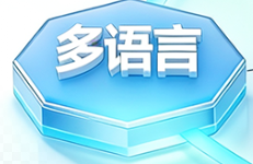 多语言支持